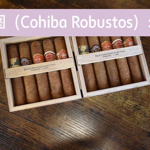 高希霸罗布图（Cohiba Robustos）：价格及评测
