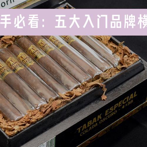 雪茄新手必看：五大入门品牌横向测评